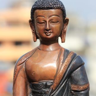 Shakyamuni Buddha Statue