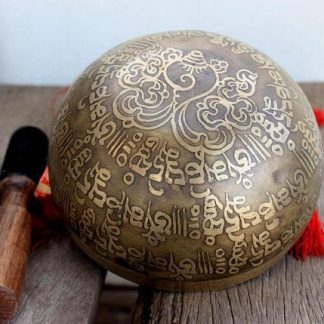 Tibetan ViswavajraOm Singing Bowl 14 cm 1